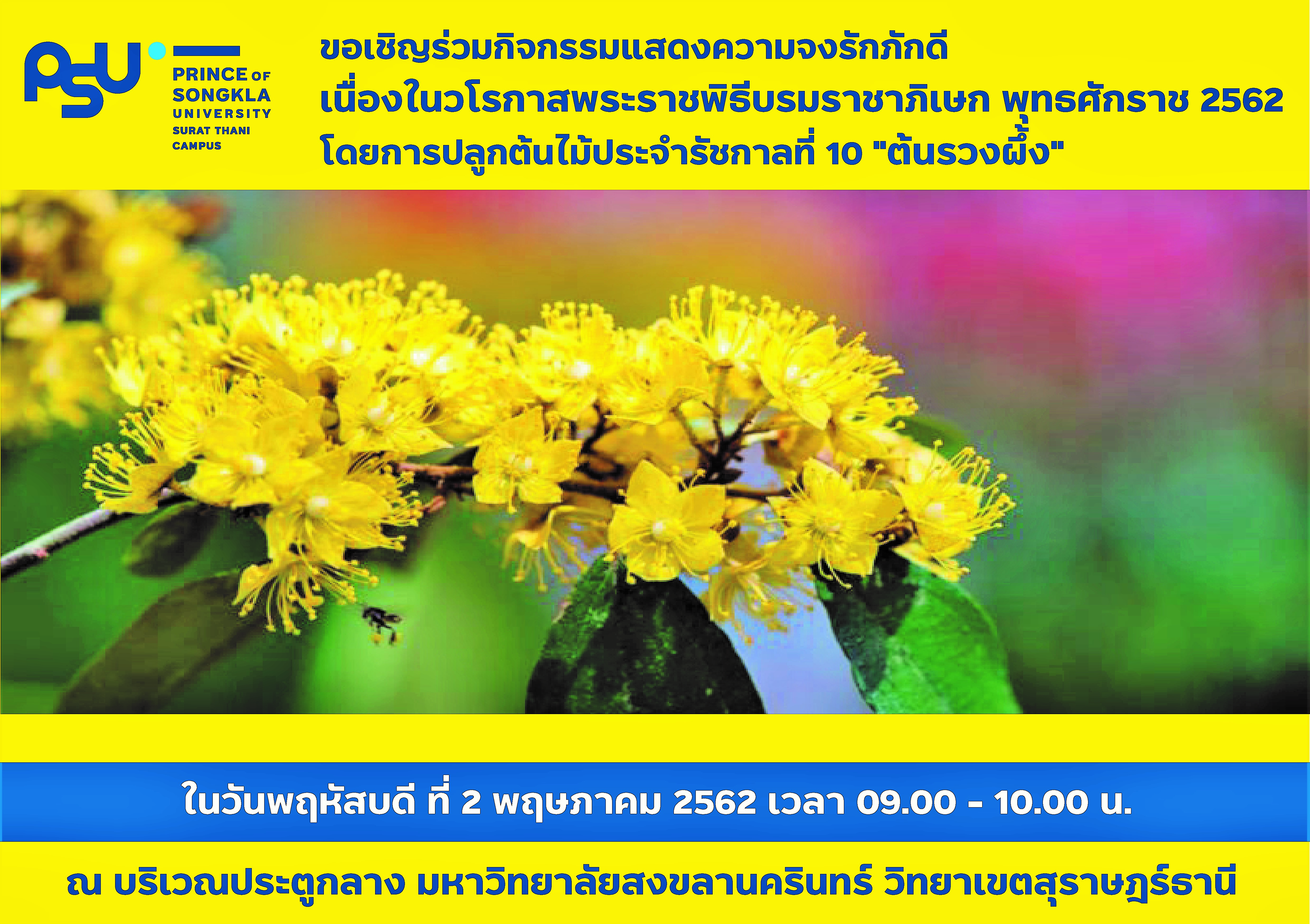 ขอเชิญร่วมกิจกรรมแสดงความจงรักภักดี เนื่องในวโรกาสพระราชพิธีบรมราชาภิเษก พุทธศักราช 252